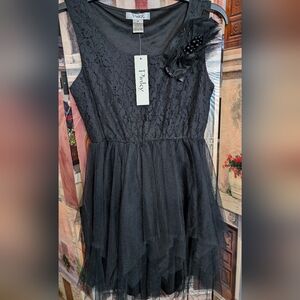 Pinky Elegant Black Ladies Dress